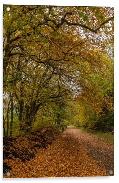 Autumn colours on the Monsal Trail Acrylic by Jason Wells