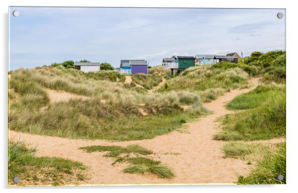 Beach huts nestled in the sand dunes at Hunstanton Acrylic by Jason Wells