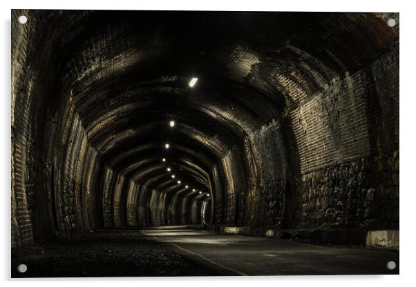 Inside Cressbrook Tunnel Acrylic by Jason Wells