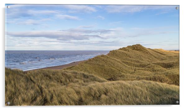 Rolling hills of the Formby sand dunes Acrylic by Jason Wells