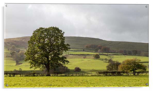 Derbyshire Dales landscape Acrylic by Jason Wells