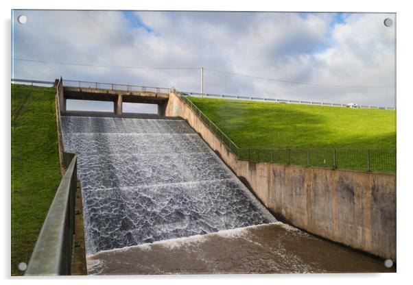 Looking up at the Carr Mill Dam Acrylic by Jason Wells