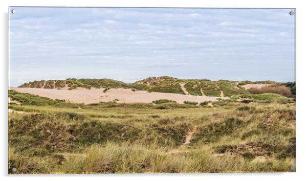 Sand dunes at the edge of Formby beach Acrylic by Jason Wells