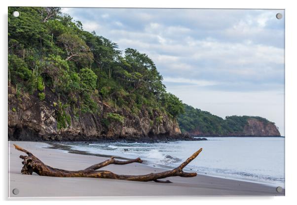 Rugged coastline of Guanacaste Acrylic by Jason Wells