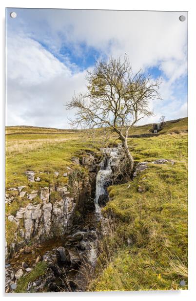 Lone tree next to a cascade Acrylic by Jason Wells