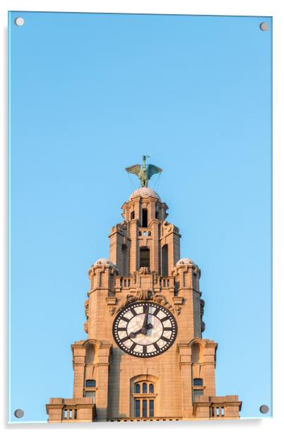Liver Bird above a clock tower Acrylic by Jason Wells
