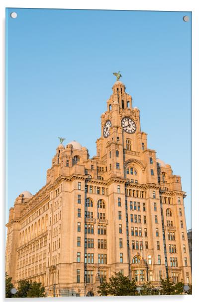 Golden light falling on the Liver Building Acrylic by Jason Wells