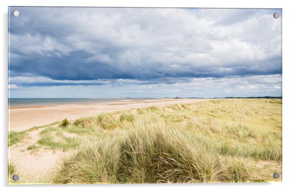 Titchwell beach under a dramatic sky Acrylic by Jason Wells