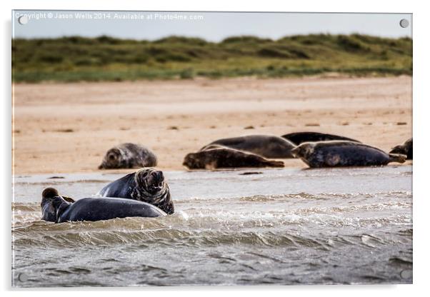 Seals off the coast of Norfolk Acrylic by Jason Wells