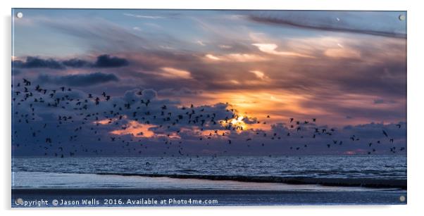 Flock of birds fleeing the beach Acrylic by Jason Wells