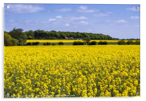 Yellow & green landscape Acrylic by Jason Wells