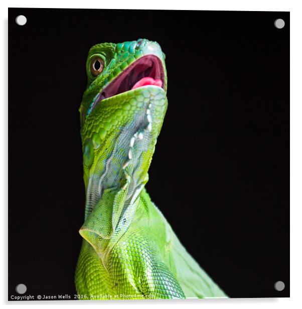 Square crop of a Green Iguana Acrylic by Jason Wells