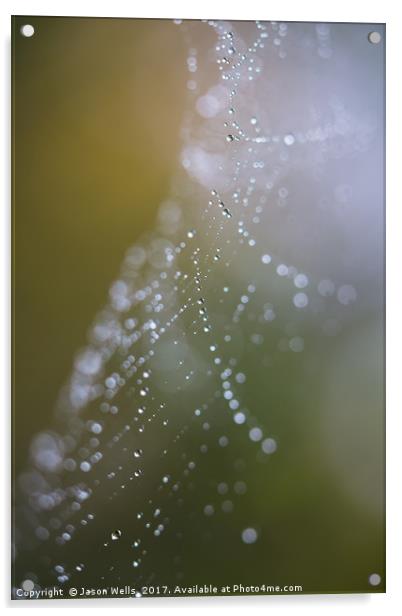Looking through a damp cobweb Acrylic by Jason Wells