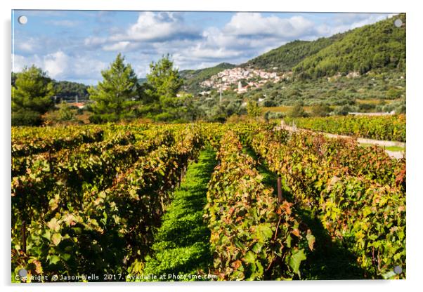 Posip grapes being grown in Cara Acrylic by Jason Wells