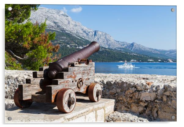 Cannon looks out down the Peljesac Channel Acrylic by Jason Wells