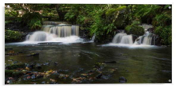 Two cascades on Rivelin River Acrylic by Jason Wells