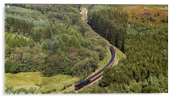 Steam train navigating a valley Acrylic by Jason Wells