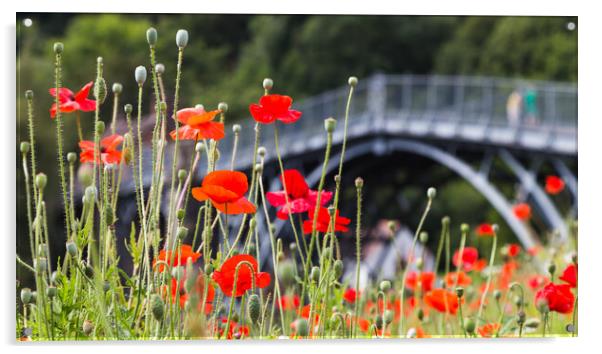 Poppies in front of the Iron Bridge Acrylic by Jason Wells