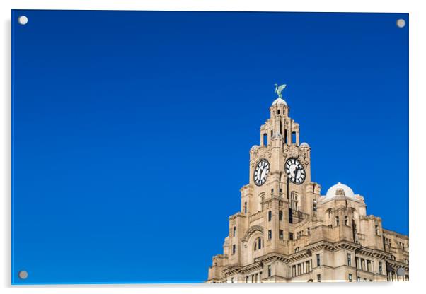 Royal Liver Building against a clear blue sky Acrylic by Jason Wells