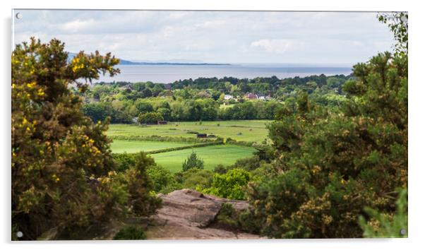 View from Thurstaston Common Acrylic by Jason Wells