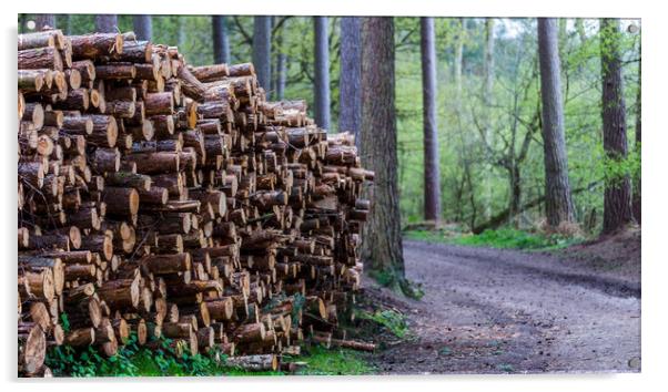 Logs piled high Acrylic by Jason Wells