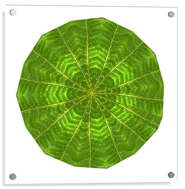 Circular composite of fern leaf Acrylic by Ivan Kovacs