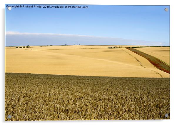  Yorkshire Wolds at Harvest Time Acrylic by Richard Pinder