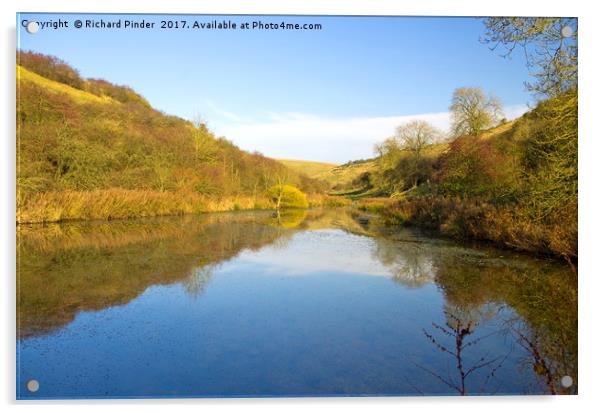 Millington Pasture Ponds Acrylic by Richard Pinder