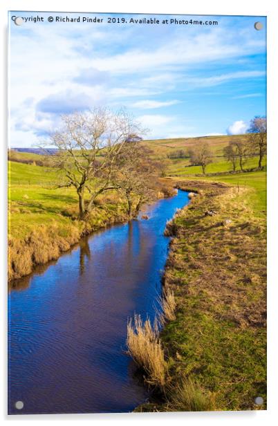 River Bain, North Yorkshire Acrylic by Richard Pinder