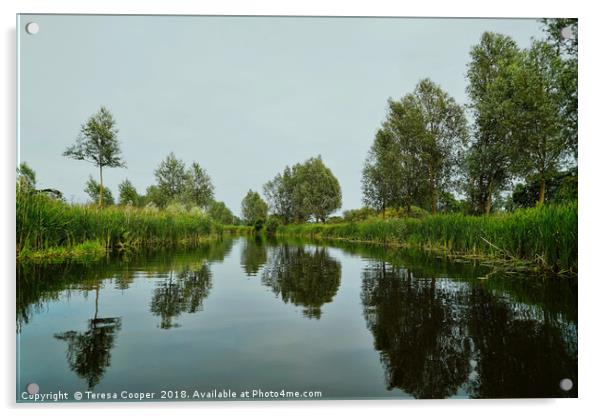 Paper Mill Lock, Essex  Acrylic by Teresa Cooper