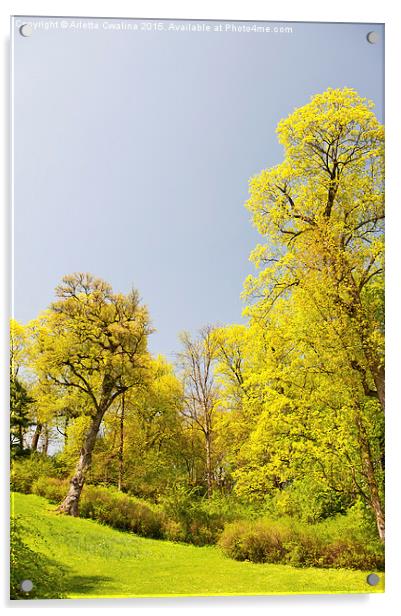 Green spring trees vibrant nature Acrylic by Arletta Cwalina