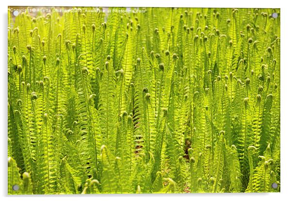 Fern foliage meadow abstract Acrylic by Arletta Cwalina