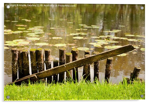 broken wooden fence on pond shore Acrylic by Arletta Cwalina