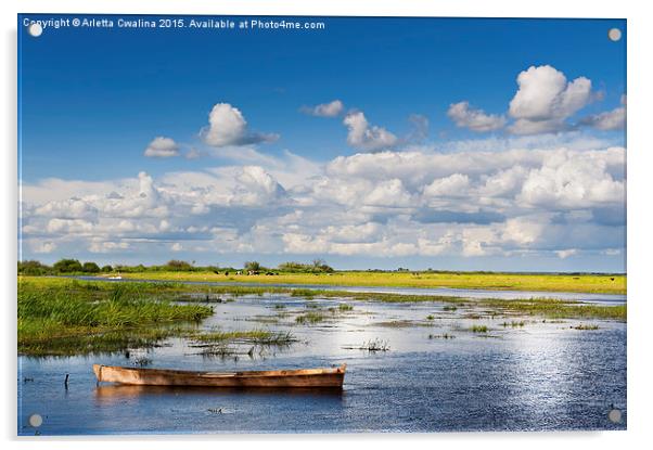 wooden boat in Biebrza wetland area Acrylic by Arletta Cwalina
