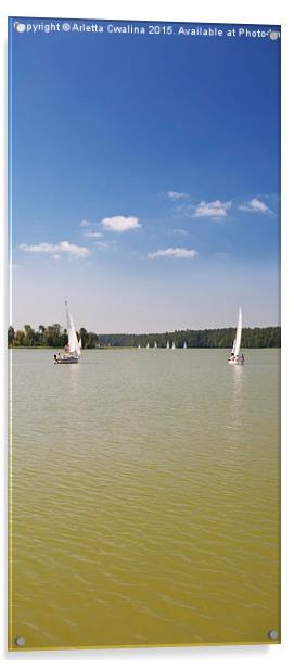 White boats sailing view panorama Acrylic by Arletta Cwalina