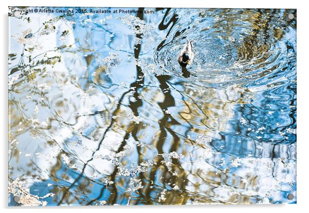 Duck in water reflections abstract Acrylic by Arletta Cwalina