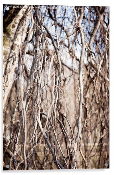 Fall twigs melancholic nature Acrylic by Arletta Cwalina