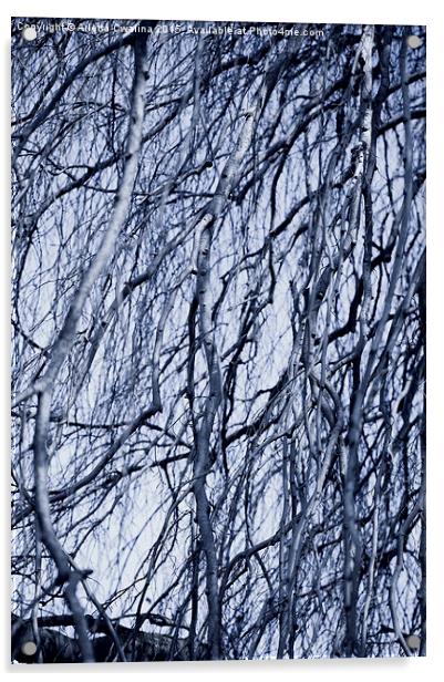 Fall twigs blue tone Acrylic by Arletta Cwalina
