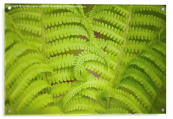 Swirled fern green foliage Acrylic by Arletta Cwalina