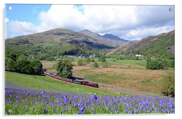 Welsh Highland Railway at Beddgelert in springtime Acrylic by Chris Parry