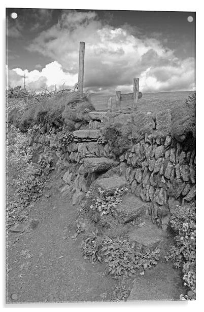 A stile over a dry stone wall Acrylic by Michael Hopes