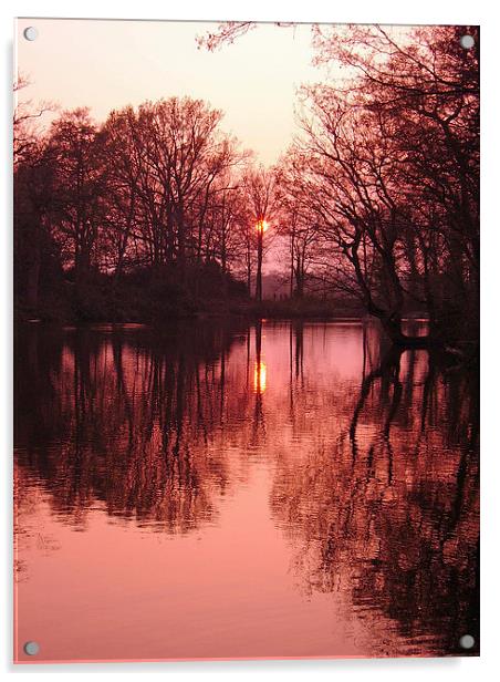 Sunset over lake Acrylic by Michael Hopes