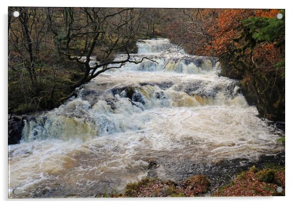 Avich Falls in Scotland Acrylic by Michael Hopes