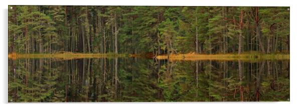 Panoramic tree line reflection Acrylic by Michael Hopes