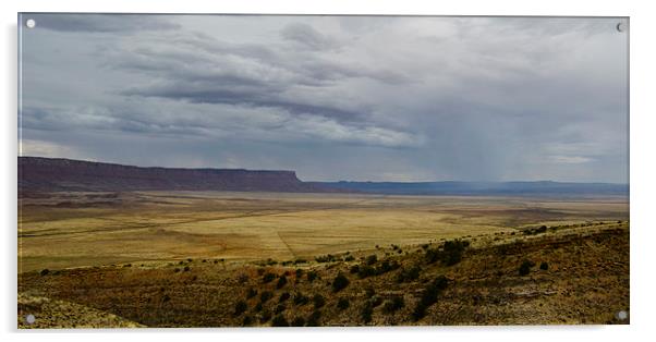  Monsoon Over Arizona Plain Acrylic by Angela Rowlands