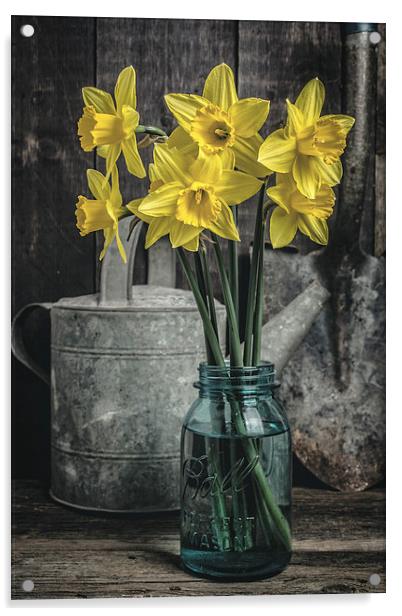 Spring Daffodil Flowers Acrylic by Edward Fielding