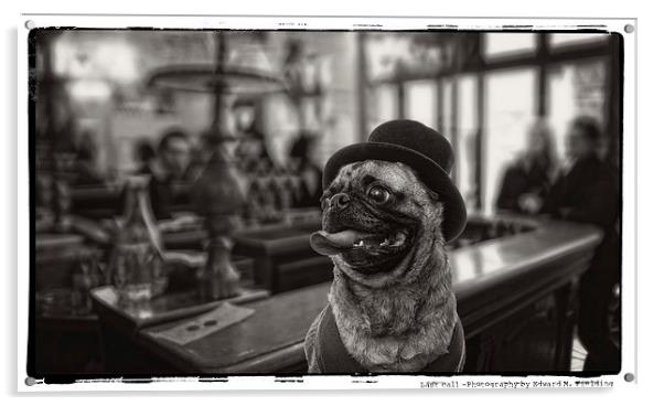 Pub Pug Acrylic by Edward Fielding