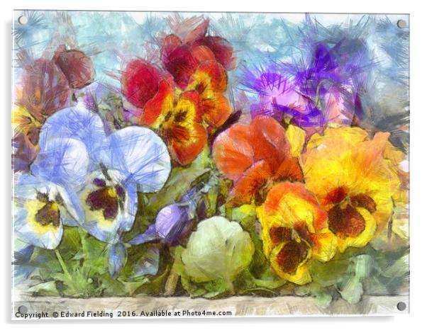 Flower Box Full of Pansy Pencil Acrylic by Edward Fielding