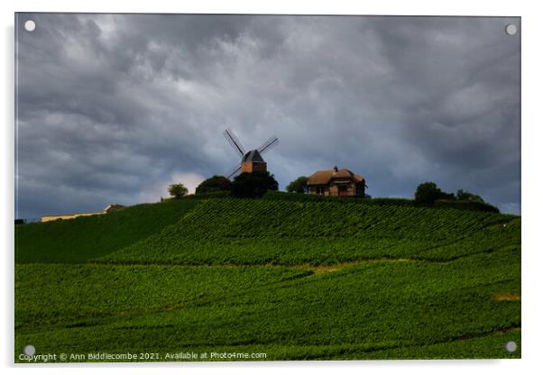 Windmill surrounded by vineyards Acrylic by Ann Biddlecombe