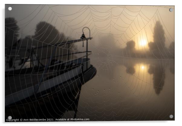 A spiders view of the misty sunrise Acrylic by Ann Biddlecombe